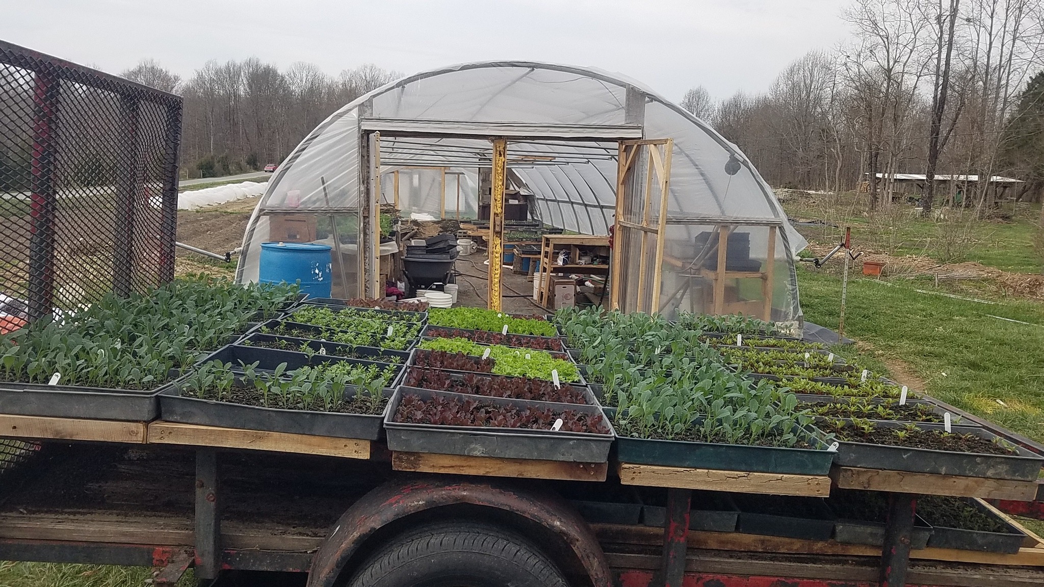 Foxfire Farm